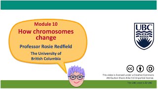 10M  Retrotransposons pseudogenes and junk DNA [upl. by Nnaeoj]