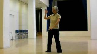 Shibashi Tai chi Qigong 18 movements [upl. by Aizan]