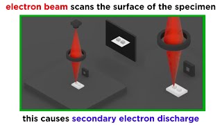 Electron Microscopy TEM and SEM [upl. by Irtimed170]