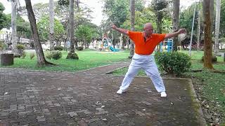 Taiji Qigong Shibashi  Set 5 [upl. by Yelhsa]