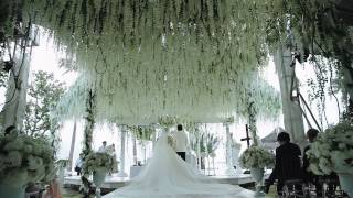 Chiz Escudero and Heart Evangelista  Balesin Wedding Video [upl. by Devi]