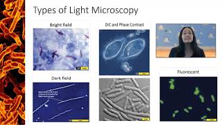 Types of Light Microscopy [upl. by Harrison]