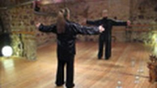 Taiji Qigong Shibashi 1 Set Qigong BadenBaden [upl. by Etnahsa515]