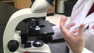 Introduction to the Light Microscope [upl. by Keel285]