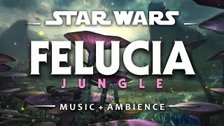 Felucia  Star Wars Battlefront II Ambience [upl. by Kutzenco]