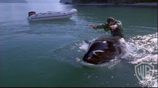 Free Willy 3 the Rescue  Trailer 1 Pg [upl. by Weinreb]