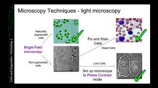 Microscopy Techniques [upl. by Htepsle56]