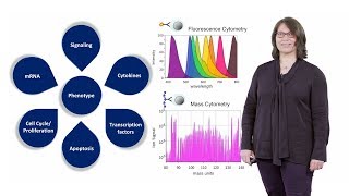 Mass Cytometry Introduction  Susanne Heck NIHR BRC [upl. by Gamaliel]