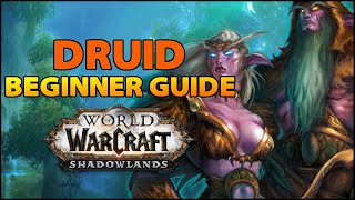 Druid Beginner Guide  Overview amp Builds for ALL Specs WoW Shadowlands [upl. by Niwhsa]