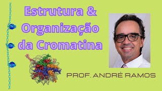 Estrutura e Organização da Cromatina Descomplicando os cromossomos [upl. by Helbonia690]