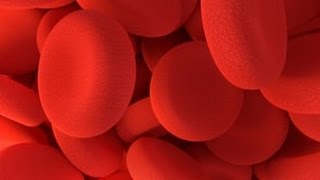 What is the difference between a blood clot and a thrombus [upl. by Lennon]