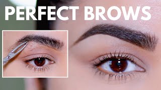 HOW TO GROOM SHAPE amp MAINTAIN EYEBROWS AT HOME BEGINNER FRIENDLY [upl. by Ynnavoj372]