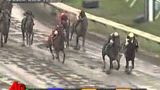 Raw Video Names Make for Hilarious Horse Race [upl. by Zuzana524]