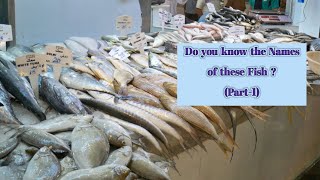 Fish Facts All about Fishes  Fish Names in English Part1  Edible Fishes [upl. by Nadda]