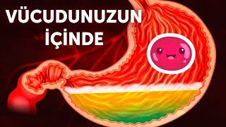 Vücudunuzun İçine Doğru Bir Yolculuk [upl. by Llennor429]