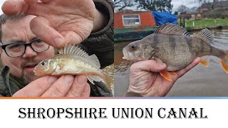 Shropshire Union Canal Fishing Chester [upl. by Adnawt647]