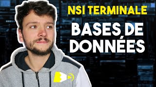 LES BASES DE DONNÉES  NSI Terminale [upl. by Joliet]