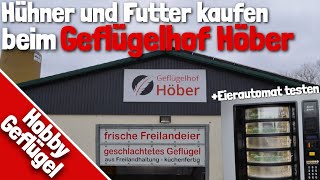 Hühner und Futter kaufen beim Geflügelhof Höber [upl. by Corry]