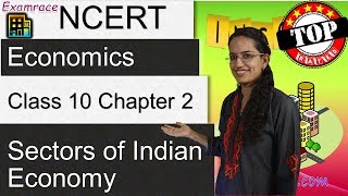 NCERT Class 10 Economics Chapter 2 Sectors of Indian Economy Dr Manishika  English  CBSE [upl. by Anniken726]