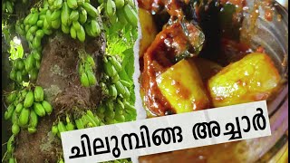 ചിലുമ്പിങ്ങ അച്ചാര്‍ chilimbikka Pickle [upl. by Lauryn544]