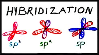 sp3 sp2 and sp Hybridization [upl. by Ahsel]