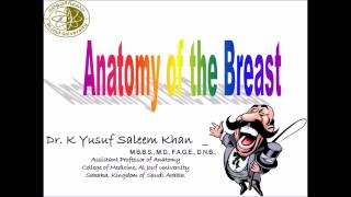 Anatomy of the BREAST  MAMMARY GLAND  Dr Yusuf [upl. by Nefen103]