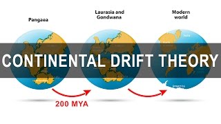 Continental Drift Theory  Alfred Wegener  Pangea  Gondwanaland [upl. by Aitnic]