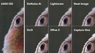 DeNoise AI is THE BEST Image Noise Reduction Software  PROOF [upl. by Hamid]