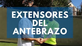 Estiramiento de los extensores del antebrazo [upl. by Nylekoorb]