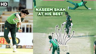 Naseem Shah Fantastic Bowling vs New Zealand  PCB  M2B2A [upl. by Notsur183]