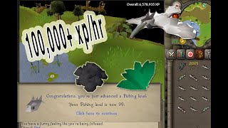 OSRS How to 3 Tick Barbarian Fish  THE EASIEST WAY [upl. by Nitsyrc]