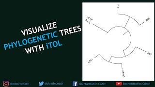 Visualize ANY phylogenetic trees using iTOL [upl. by Ijies]