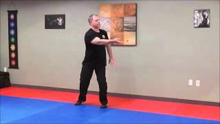 Tai Chi Qigong Shibashi set 1 [upl. by Nosnek]