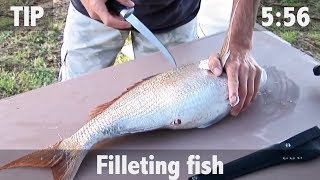 How to Fillet Fish [upl. by Karolyn]