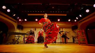 【フラメンコ FLAMENCO】LosTopos Alegrías アレグリアス 〜東京フラメンコフェスティバル〜 [upl. by Eimyaj60]