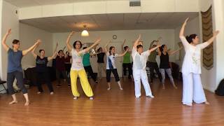 Taiji Qigong Shibashi set 1  finissant de lINMC 2017 [upl. by Acissaj179]