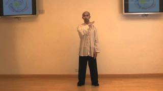 Tai Chi Qigong Shibashi  Home Study Course [upl. by Chabot]