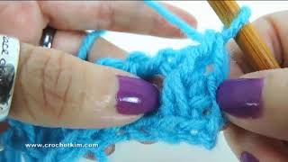 Tunisian Crochet Smock Stitch [upl. by Etaner]