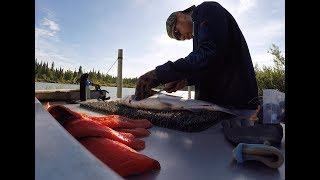 How to Fillet a Sockeye Salmon [upl. by Emlynne]