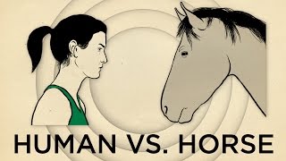 Human Vs Horse Marathon  NPRs SKUNK BEAR [upl. by Luehrmann]