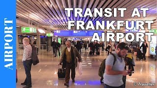 TRANSIT WALK AT FRANKFURT Airport FRA Terminal 1  Connection Flight Transfer Arriving amp Departing [upl. by Majka]