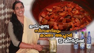 മാങ്ങ അച്ചാർ ഇനി ഏതു സീസണിലും 5 മിനിറ്റിൽ  Uppu Manga Achar  Mango Pickle Recipe in Malayalam [upl. by Okoyk]