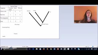 Making Phylogenetic Trees from Simple Data Tables [upl. by Feeley24]