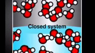 Introducing Chemical Equilibrium  Physical Sciences English [upl. by Schramke]