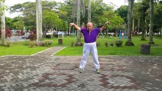 Taiji Qigong Shibashi  Set 3 [upl. by Fredelia]