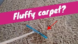 How to Fluff Carpet  Rendalls Cleaning [upl. by Aric]