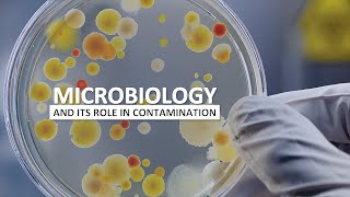 Microbiology and Contamination Control [upl. by Harrad]